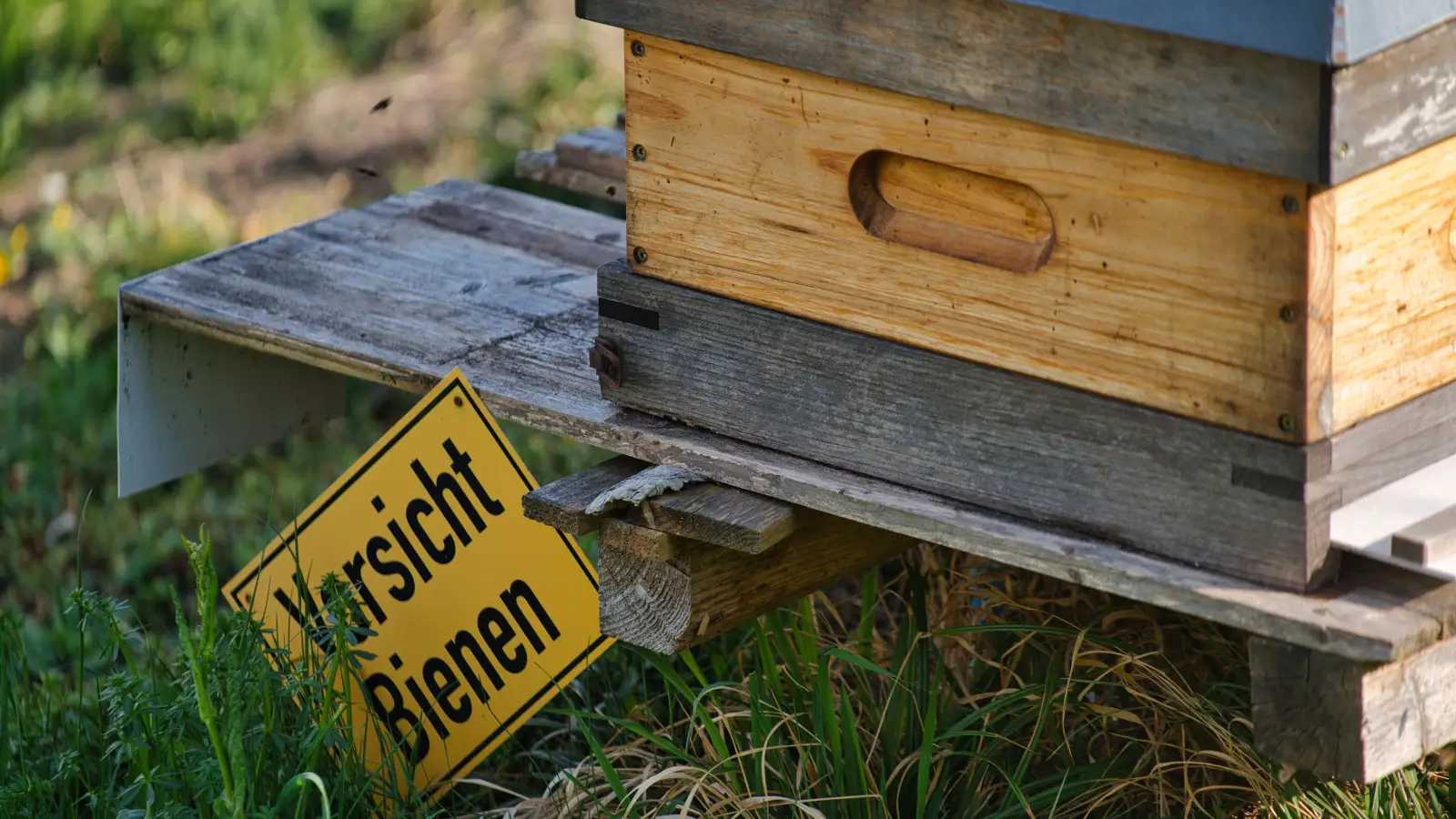 Botulism Warning: Why Honey Isn't Safe for Babies Under 1