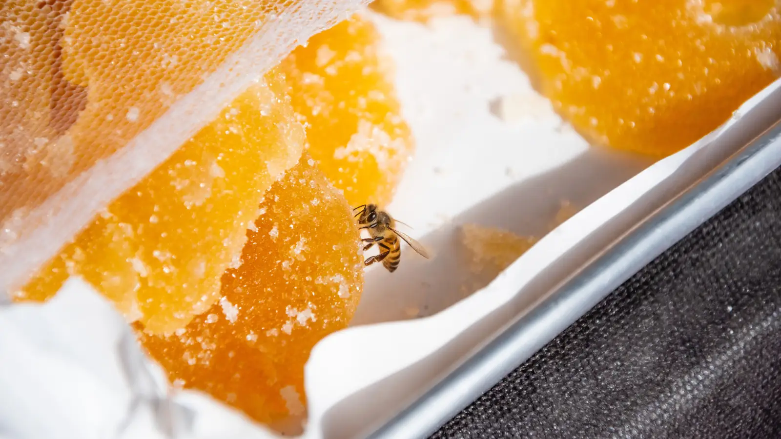 Crystallized Honey Isn’t a Problem — It’s a Sign of Quality