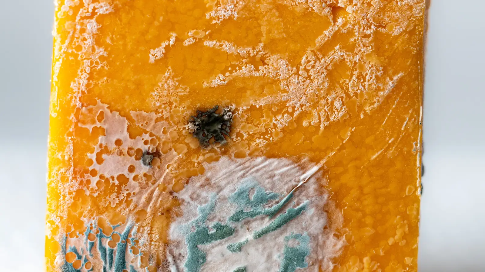 How Food Safety Experts Rule Out Mold in Your Honey