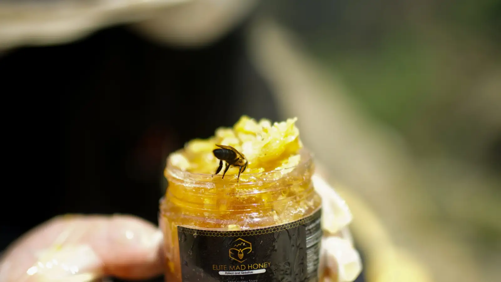 Local Honey Doesn't Help Allergies — And Science Explains Why