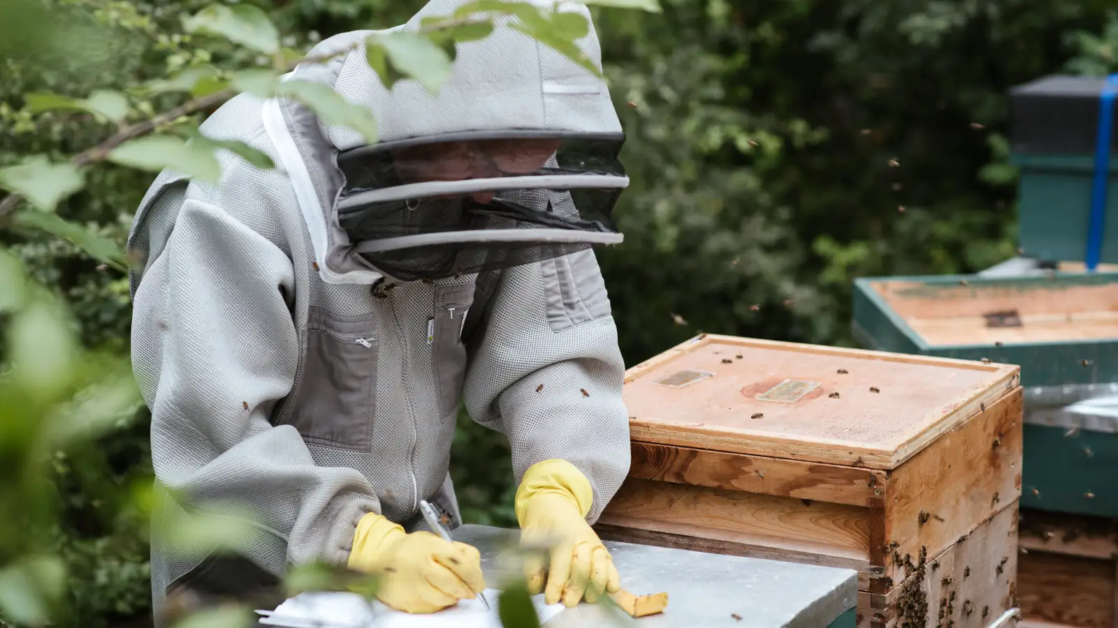The Raw Honey Safety Secret the Label Keeps Quiet