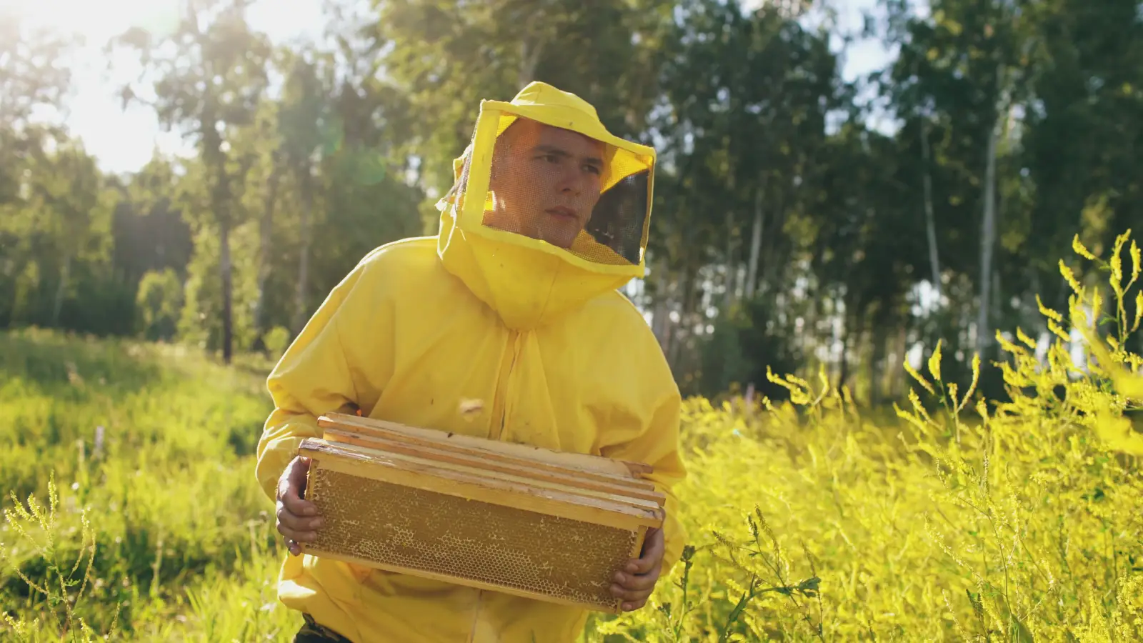 What Allergists Wish You Knew About Unfiltered Honey and Allergies