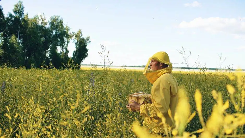What Beekeepers Know About Wildflower Honey That You Should