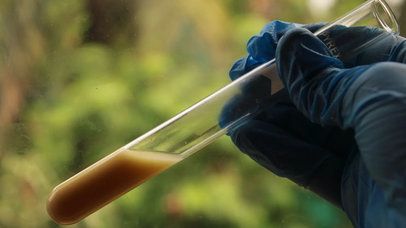 What Lab Tests Reveal About Raw Honey's 3% Edge