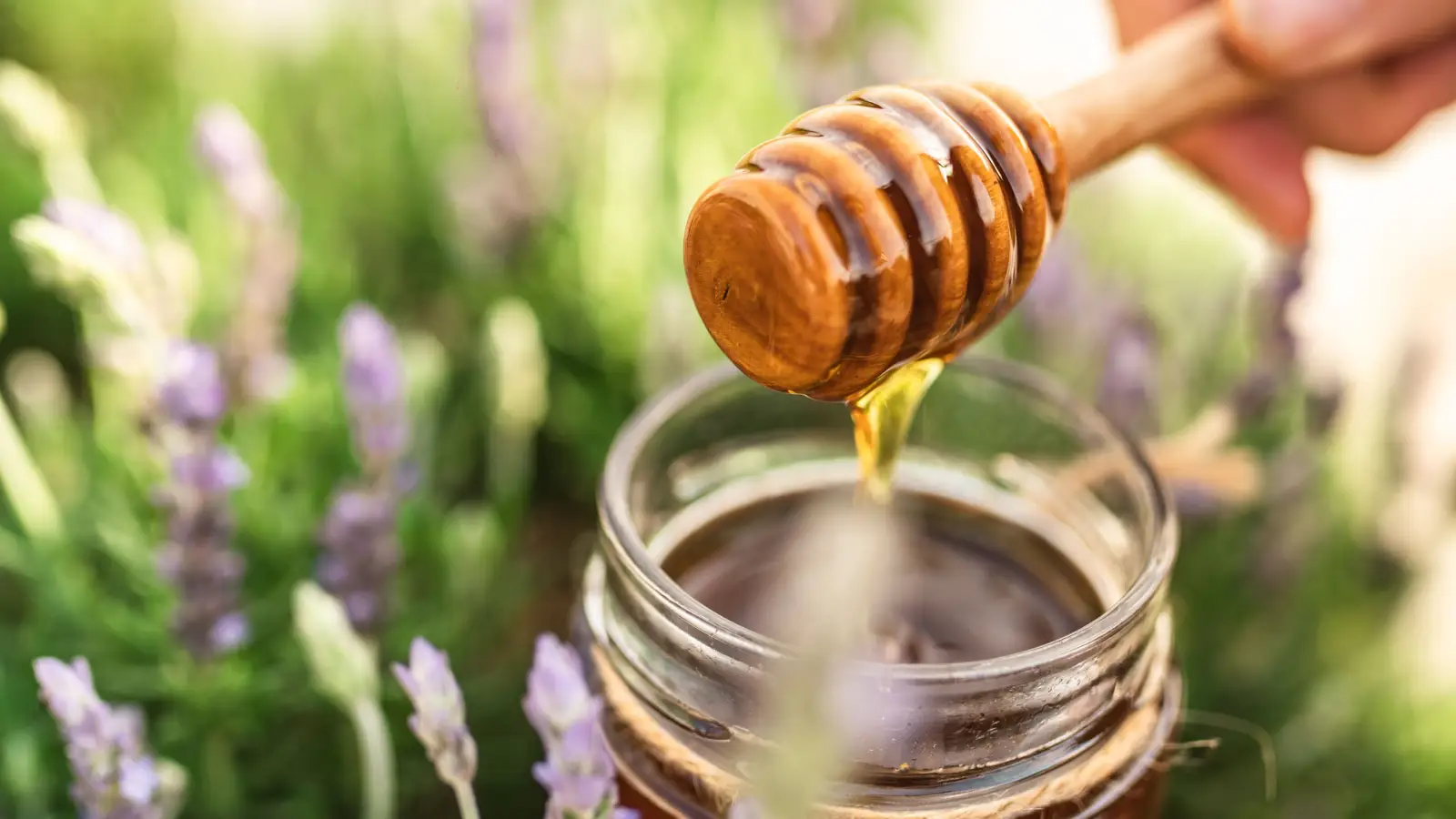 What USDA Data Shows About Floral Source and Antioxidants